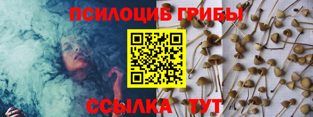 Псилоцибиновые грибы Magic Shrooms Стерлитамак