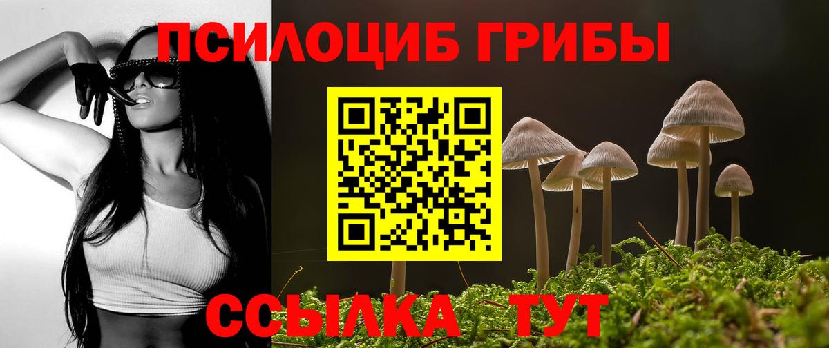 Стерлитамак  купить  сайты  Вход с VPN  Галлюциногенные грибы GOLDEN TEACHER 